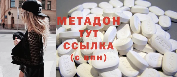 ГАЛЛЮЦИНОГЕННЫЕ ГРИБЫ Вяземский