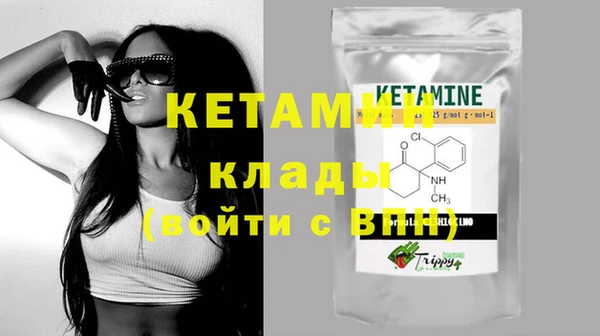 индика Кулебаки