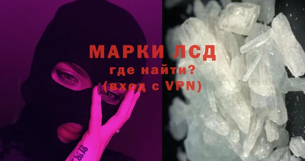 ГАЛЛЮЦИНОГЕННЫЕ ГРИБЫ Вяземский
