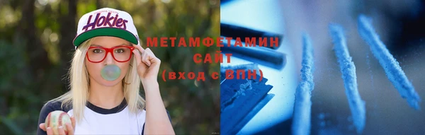ГАЛЛЮЦИНОГЕННЫЕ ГРИБЫ Вяземский