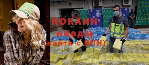 ГАЛЛЮЦИНОГЕННЫЕ ГРИБЫ Вяземский
