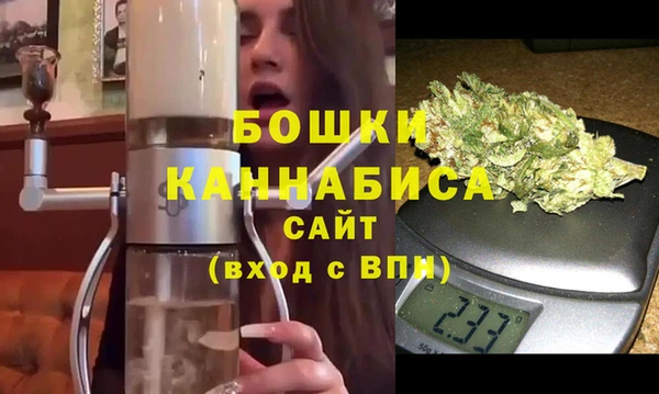 ГАЛЛЮЦИНОГЕННЫЕ ГРИБЫ Вяземский