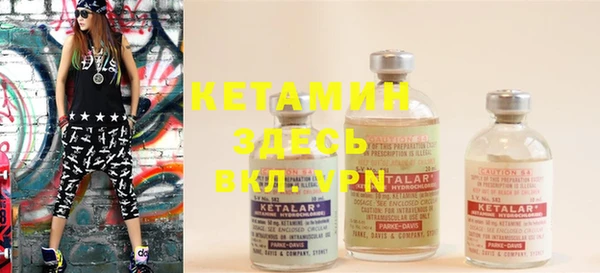 индика Кулебаки