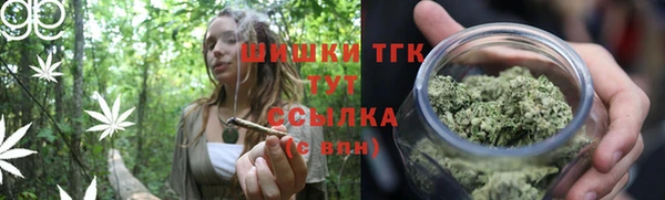 стафф Фёдоровский