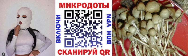 Псилоцибиновые грибы Cubensis закладка Губкин