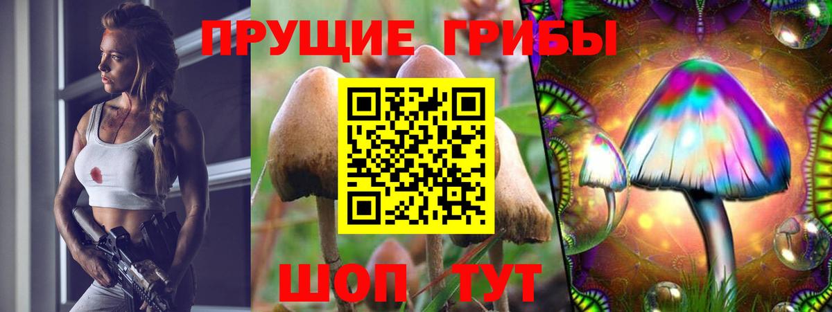 Псилоцибиновые грибы Cubensis  закладка  Губкин  Вход с VPN 