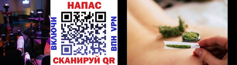 Бошки марихуана THC 21%  купить наркоту  Губкин 